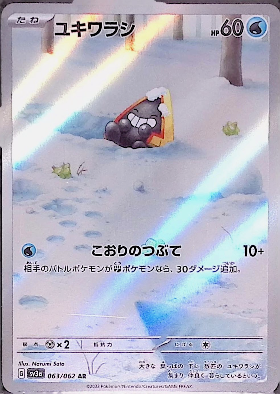 ユキワラシ sv3a 063/062