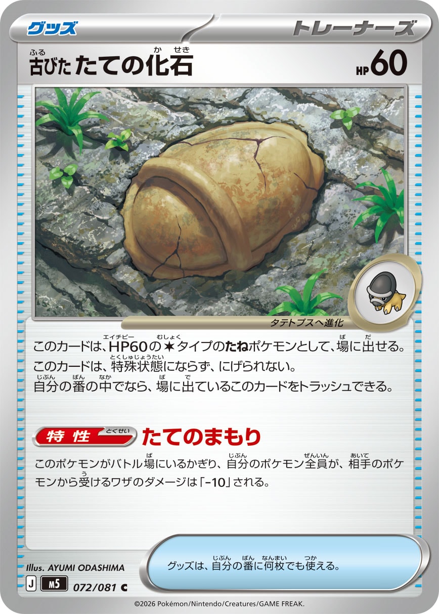 古びたたての化石 M5 072/081