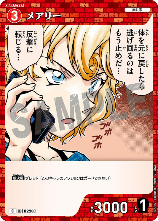 メアリー ID0228