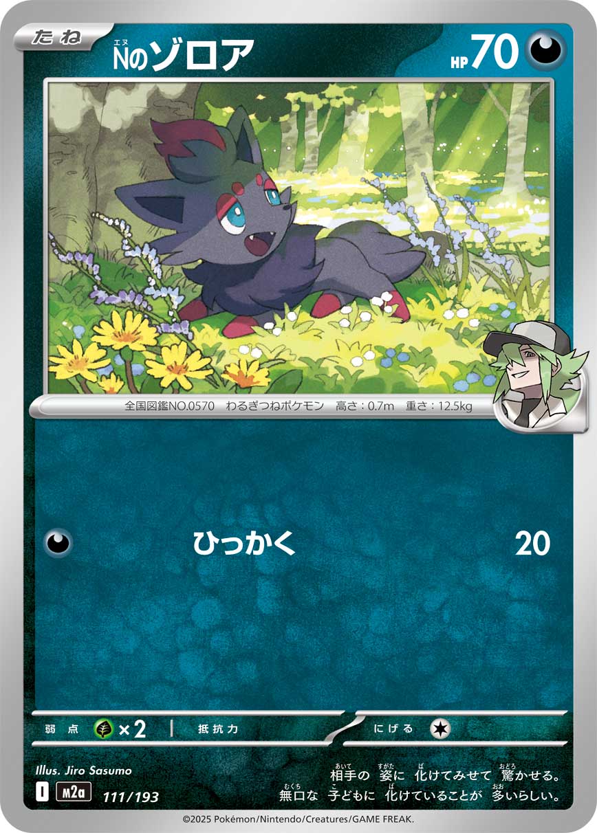 Nのゾロア m2a 111/193