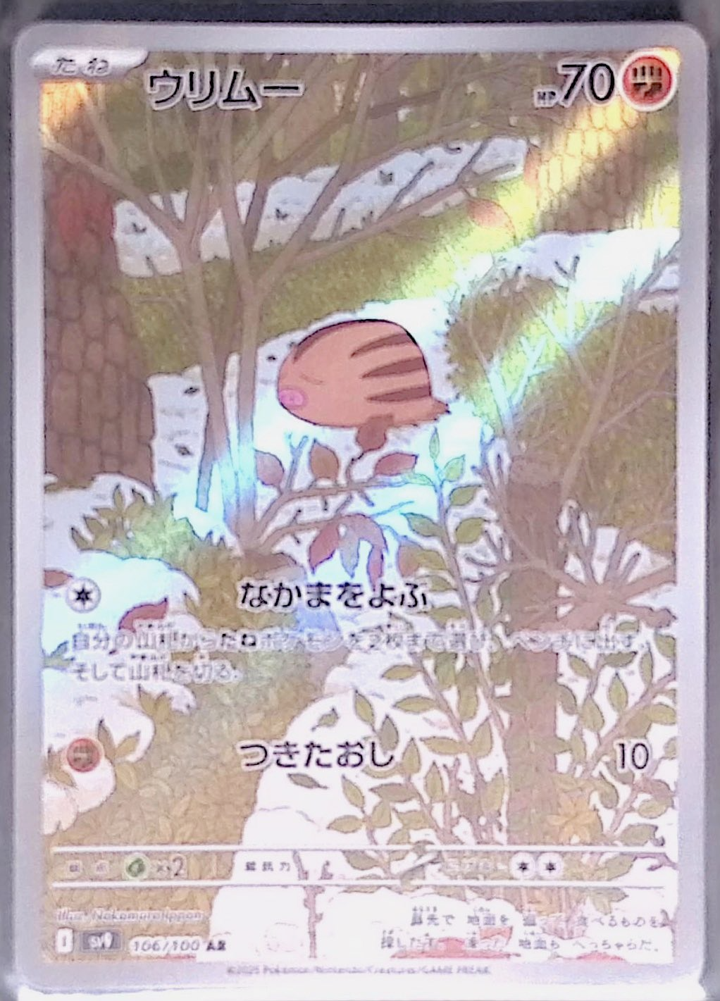 ウリムー sv9 106/100