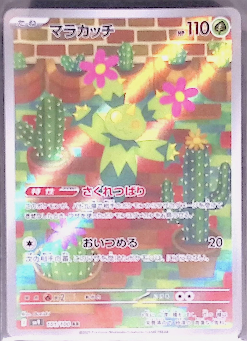 マラカッチ sv9 101/100
