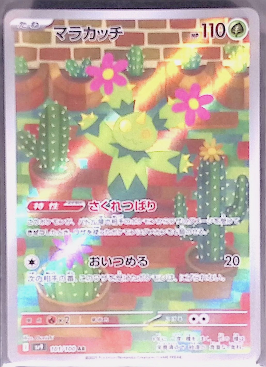 マラカッチ sv9 101/100