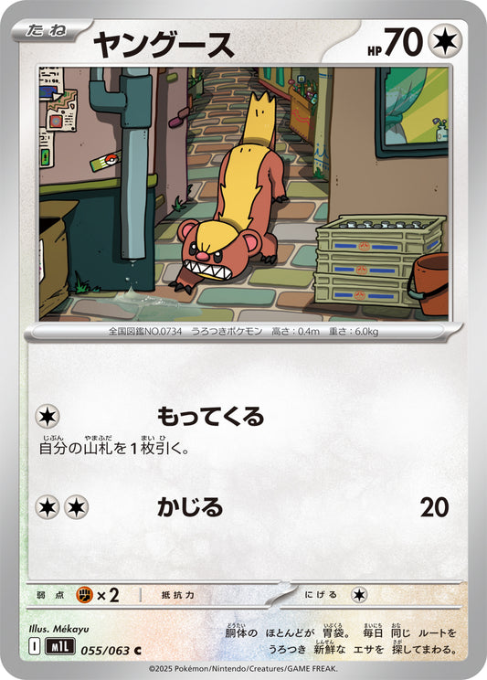 ヤングース m1L 055/063