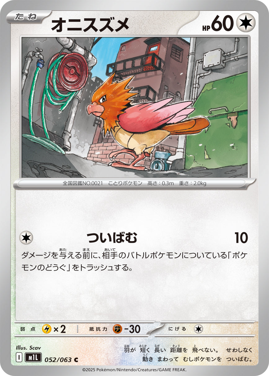 オニスズメ m1L 052/063