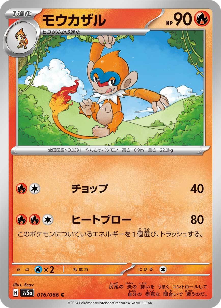 モウカザル sv5a 016/066