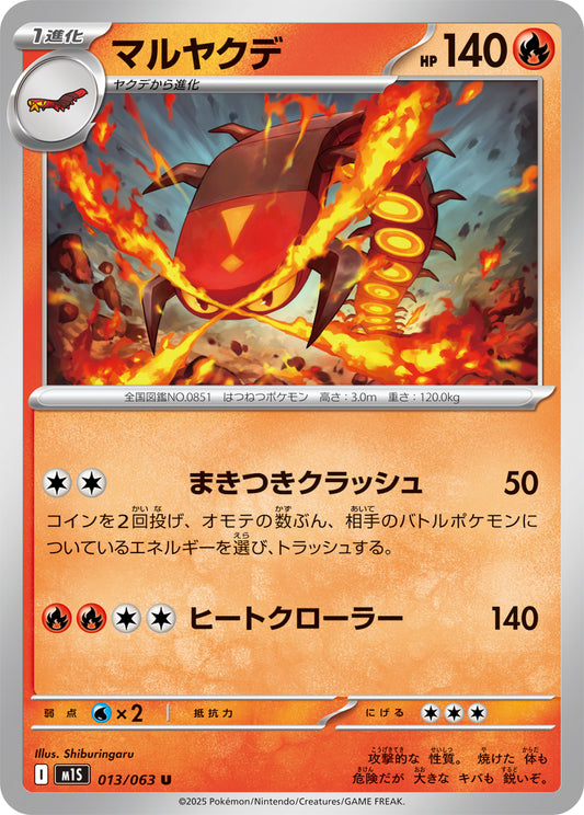 マルヤクデ m1S 013/063