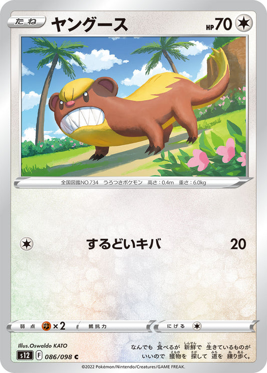 ヤングース  s12 086/098