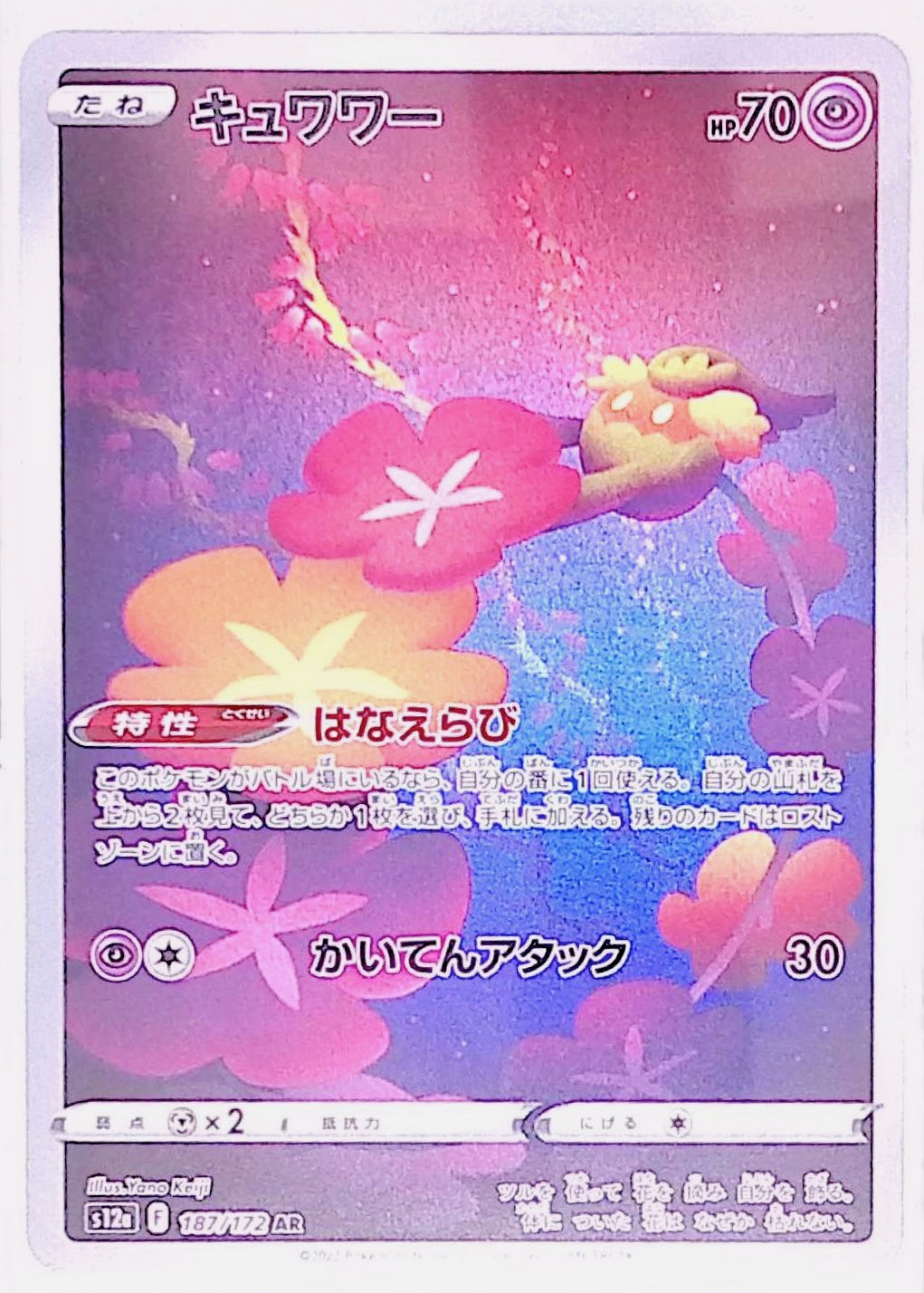 キュワワー s12a 187/172