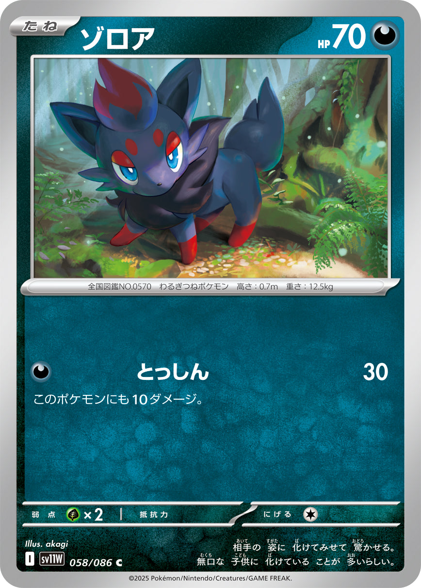 ゾロア sv11W 058/086
