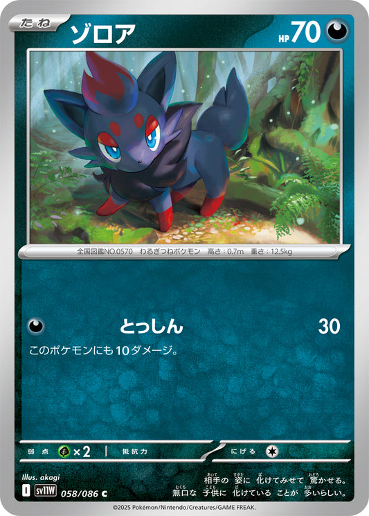 ゾロア sv11W 058/086